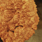 Close-up of a textured surface with a dark object in the center